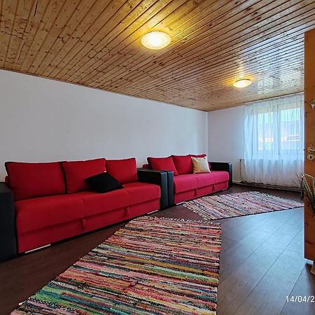 Гостевой дом Casa Soveja Rucareni Экстерьер фото