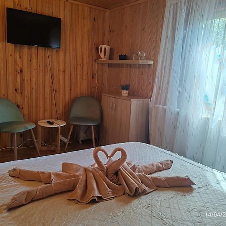 Гостевой дом Casa Soveja Rucareni Экстерьер фото