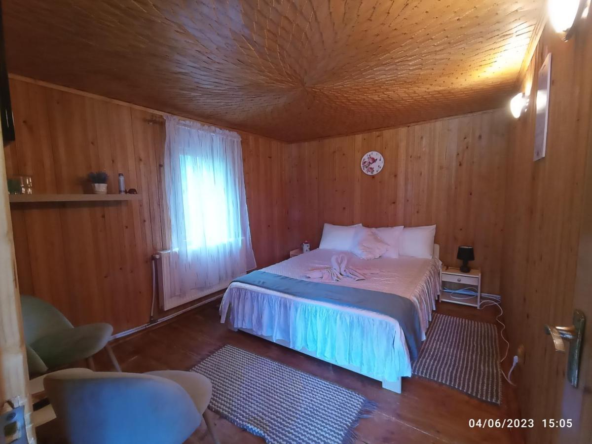 Гостевой дом Casa Soveja Rucareni Экстерьер фото